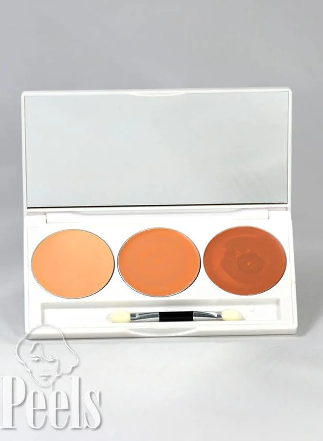 Dermacolor Camouflage Creme Trio Set DC2 3 Dermacolor Camouflage Creme Trio Set DC2