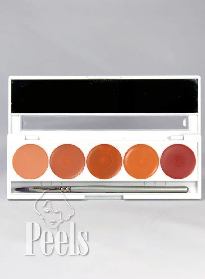 Dermacolor Camouflage Quintet Set DQ2 4 Dermacolor Camouflage Quintet Set DQ2 - Afbeelding 2