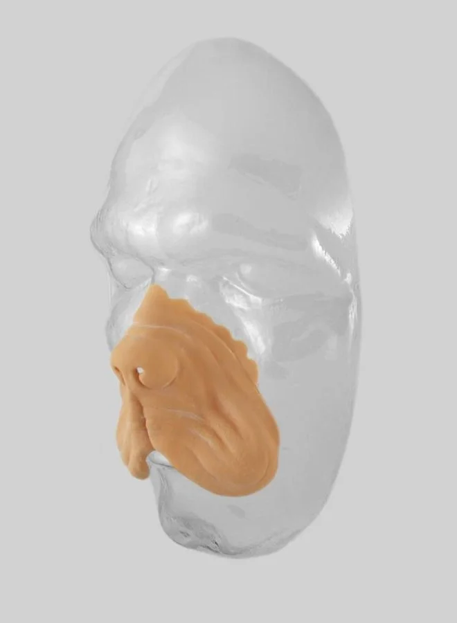 Grimas Hondensnuit 4 Grimas Hondensnuit - Afbeelding 2