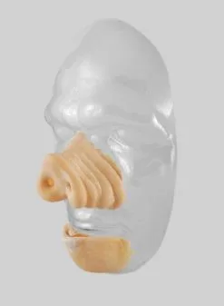 Grimas Varkensset -Carnavonix Verkoopwinkel grimas varkensset 1