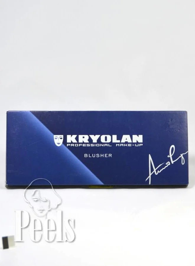 Kryolan Blusher Palette 10 Matt 4 Kryolan Blusher Palette 10 Matt - Afbeelding 2